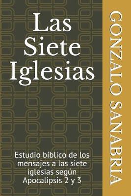 Book cover for Las Siete Iglesias