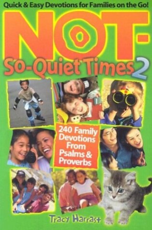 Cover of Not-So-Quiet Times 2