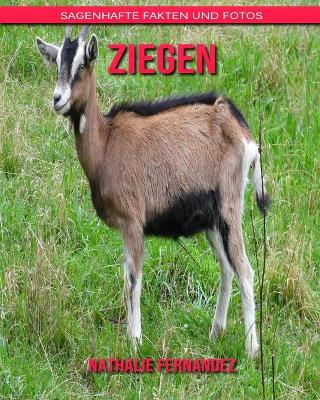 Book cover for Ziegen