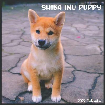 Book cover for Shiba Inu Puppy 2022 Calendar