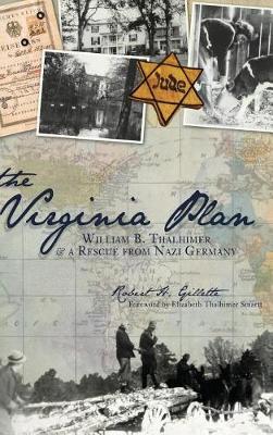 Book cover for The Virginia Plan