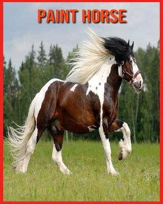 Book cover for Paint Horse