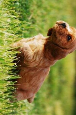 Cover of Adorable Cocker Spaniel Puppy in the Grass Journal