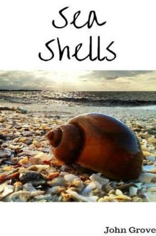 Cover of Sea Shells Photo Compilation