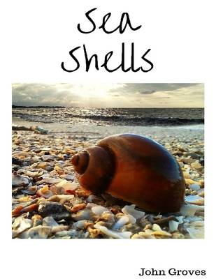 Book cover for Sea Shells Photo Compilation