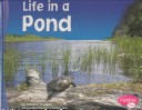 Book cover for Life in a Pond