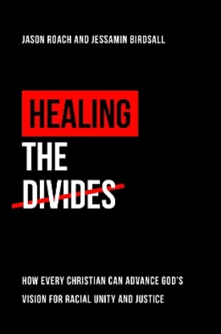 Cover of Healing the Divides