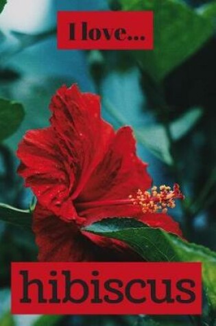 Cover of I Love Hibiscus