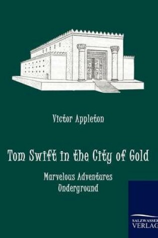 Cover of Tom Swift in the City of Gold