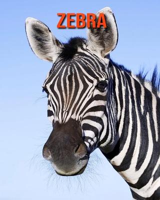 Book cover for Zebra