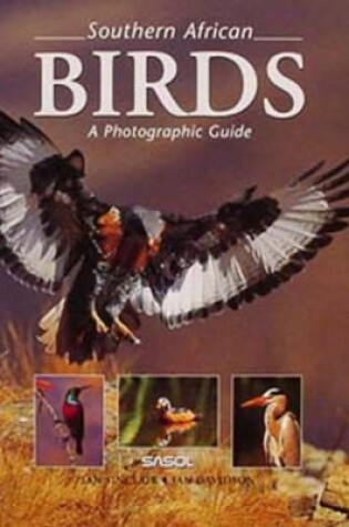 Cover of Southern African Birds - a Photographic Guide