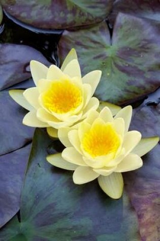 Cover of Water Lilies in a Pond Flower Journal