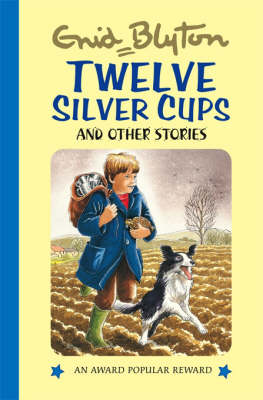 Book cover for Twelve Silver Cups