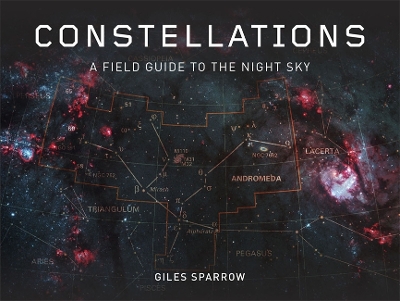 Book cover for Constellations