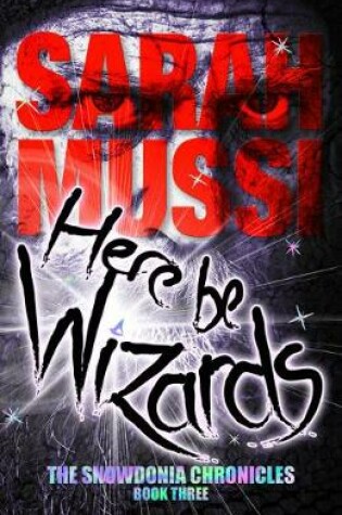 Cover of Here be Wizards