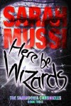 Book cover for Here be Wizards