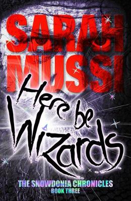 Cover of Here be Wizards