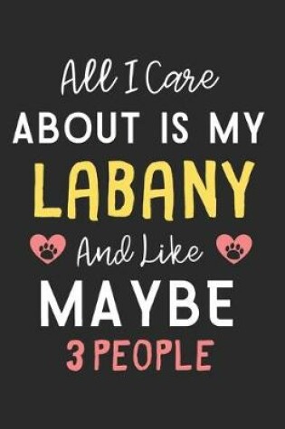 Cover of All I care about is my Labany and like maybe 3 people