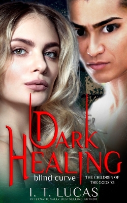 Book cover for Dark Healing Blind Curve