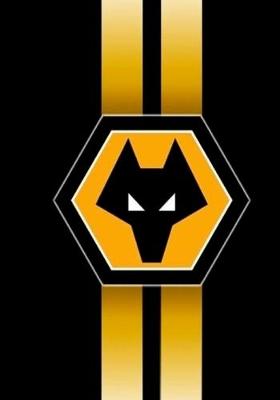 Book cover for Wolverhampton Wanderers F.C.Diary