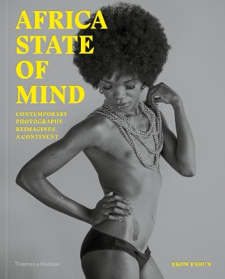 Book cover for Africa State of Mind