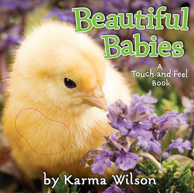 Book cover for Beautiful Babies