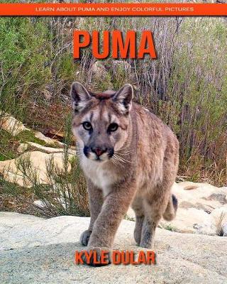 Book cover for Puma! Learn about Puma and Enjoy Colorful Pictures