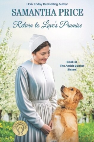 Cover of Return to Love's Promise