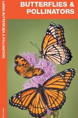 Cover of Great Lakes Butterflies & Pollinators