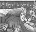 Book cover for A Tiger Grows Up
