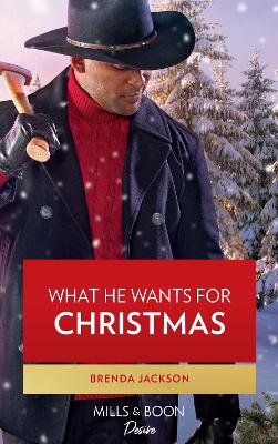 Cover of What He Wants For Christmas