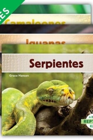 Cover of Reptiles (Spanish Version) (Set)