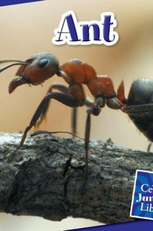 Cover of Ant