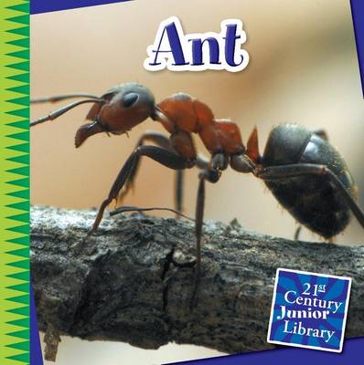 Book cover for Ant