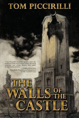Book cover for The Walls of the Castle