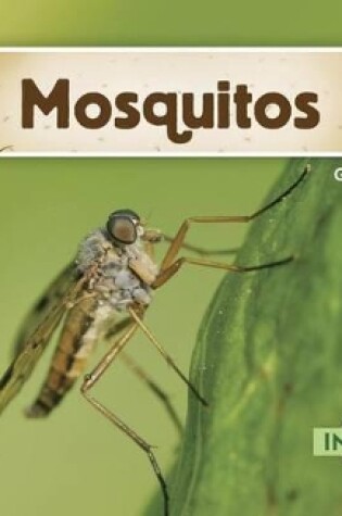 Cover of Mosquitos