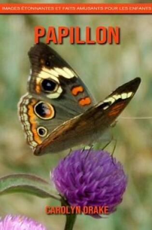 Cover of Papillon