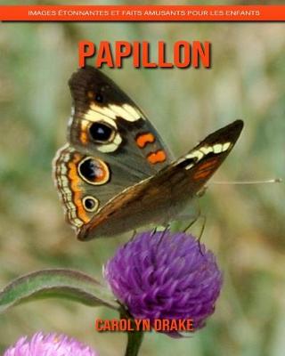 Book cover for Papillon