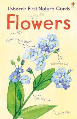Book cover for Flowers Usborne Nature Cards