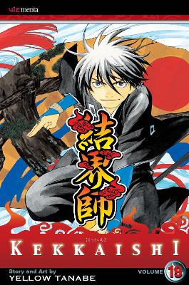 Book cover for Kekkaishi, Vol. 19