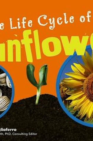 Cover of The Life Cycle of a Sunflower