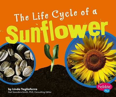Book cover for The Life Cycle of a Sunflower