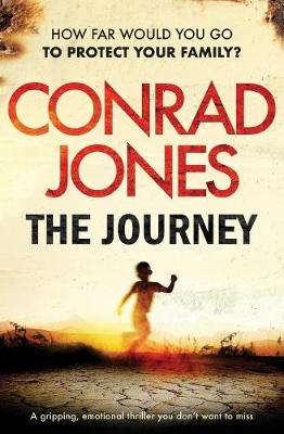 Book cover for The Journey