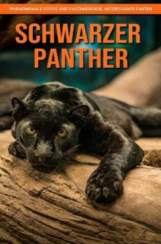 Cover of Schwarzer Panther