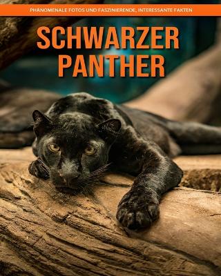 Book cover for Schwarzer Panther