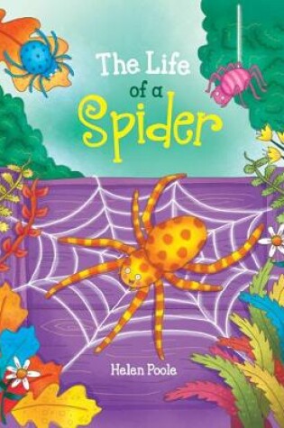 Cover of The Life of a Spider