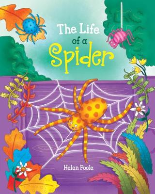 Book cover for The Life of a Spider