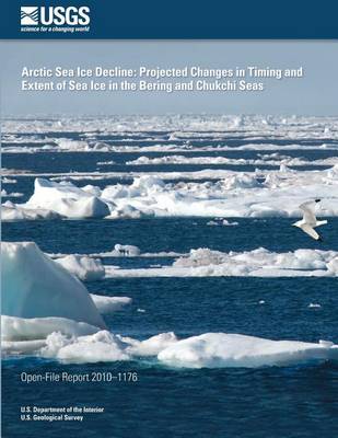 Book cover for Arctic Sea Ice Decline