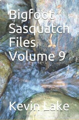 Cover of Bigfoot Sasquatch Files Volume 9