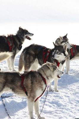 Book cover for Dog Sled Team Journal